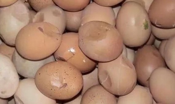 Poultry Challenge